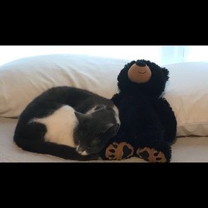 Meet your Posher, Lynette