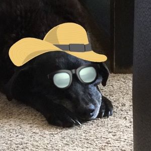 Meet your Posher, Michael