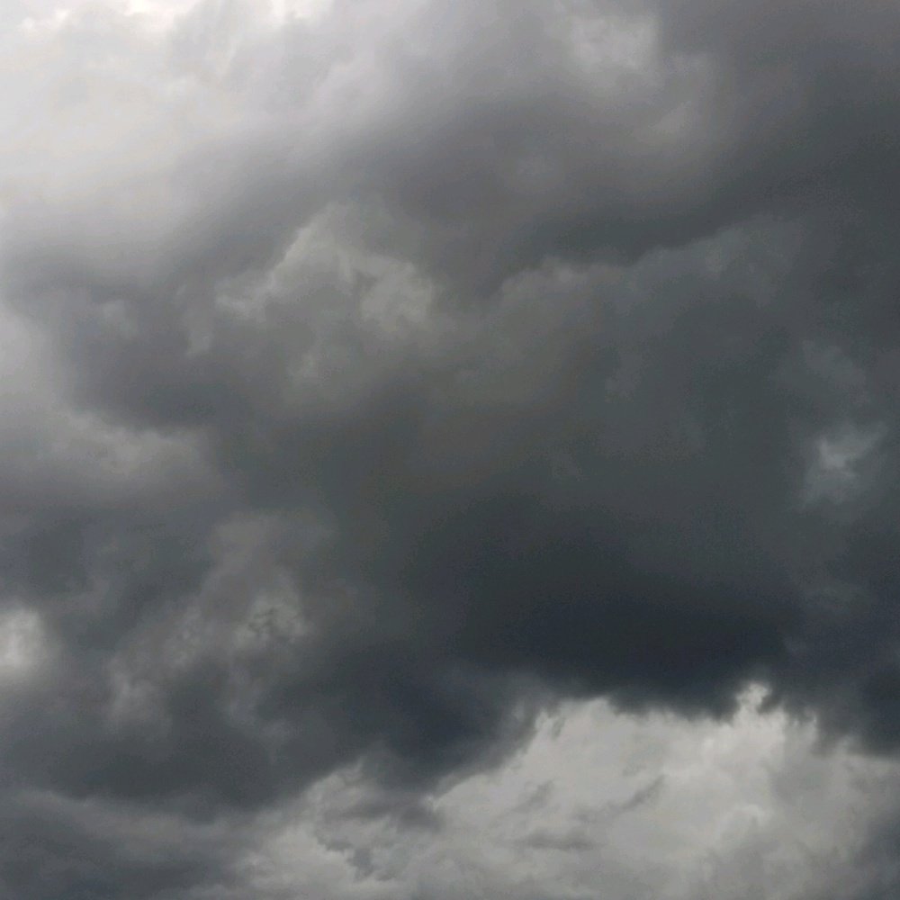 Meet your Posher, Ryleigh