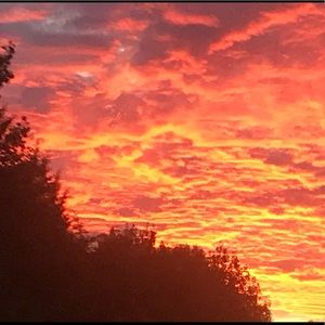 Meet your Posher, Savannah