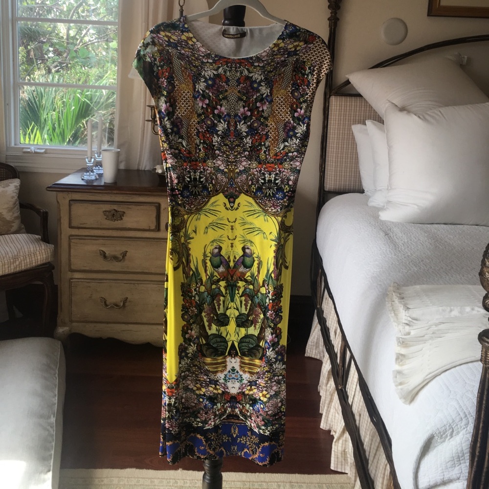 Roberto Cavalli dress