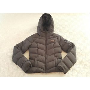Hollister Winter Coat