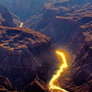 Meet your Posher, Will