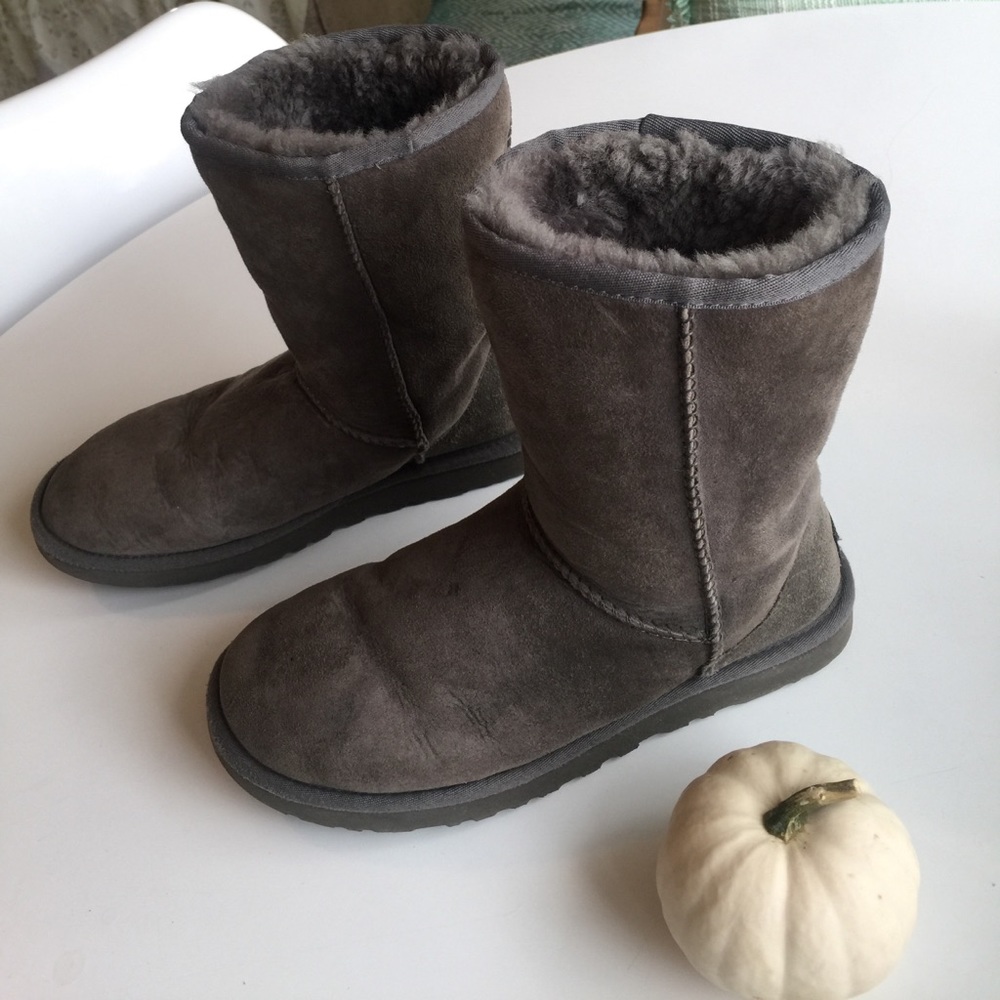 Grey Classic Short Uggs