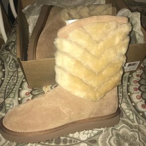 Brand new uggs!