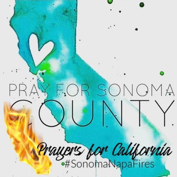 Meet your Posher, Carrie - Picture 1 of 1