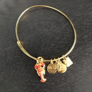 Lobster Alex and Ani Bracelet