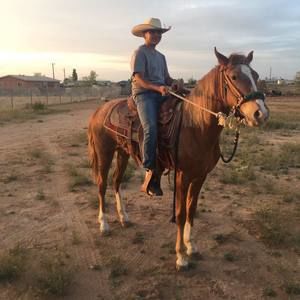 Meet your Posher, Šaul