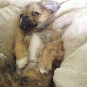 Meet your Posher, Michele