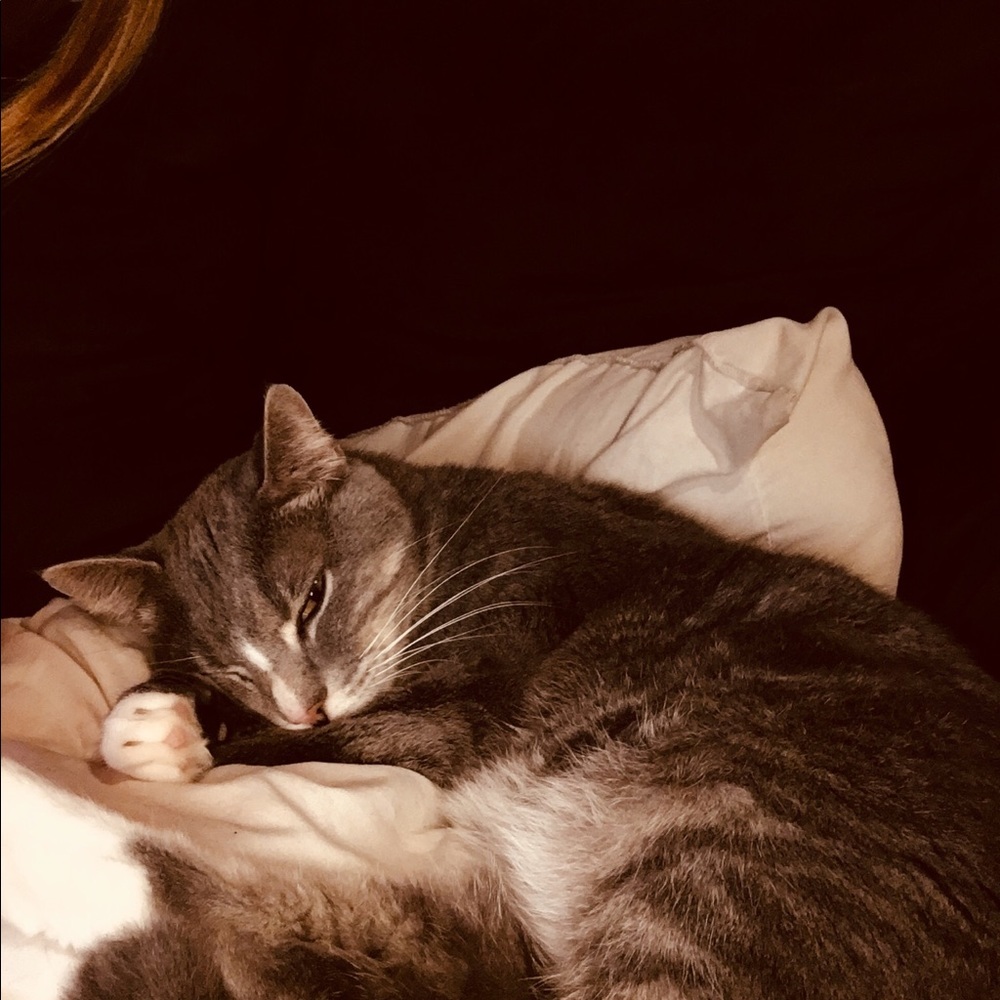 Meet your Posher, Kayla