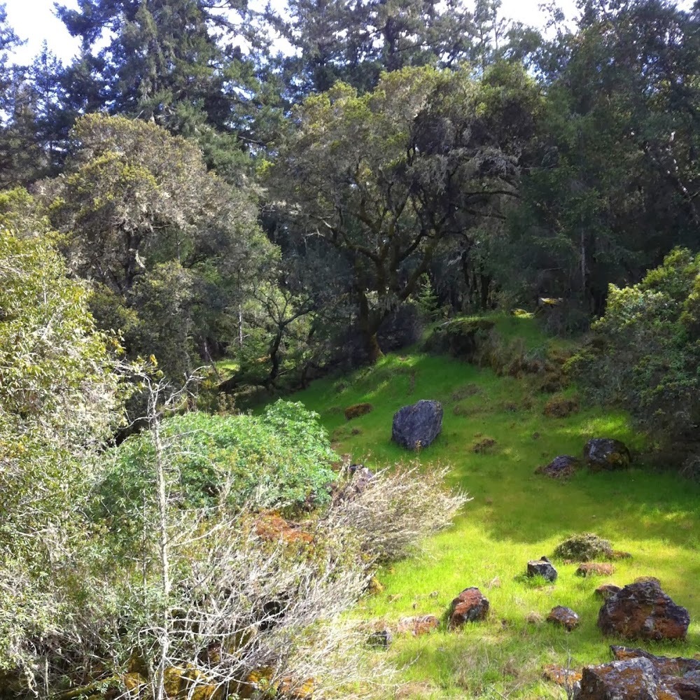 Meet your Posher, Prianka