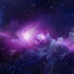 Meet your Posher, Joy