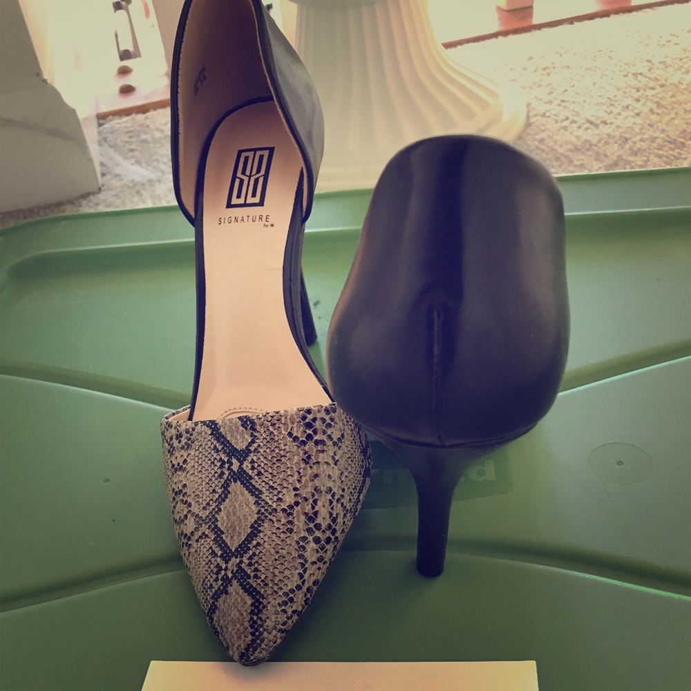 Lizard pump pumps