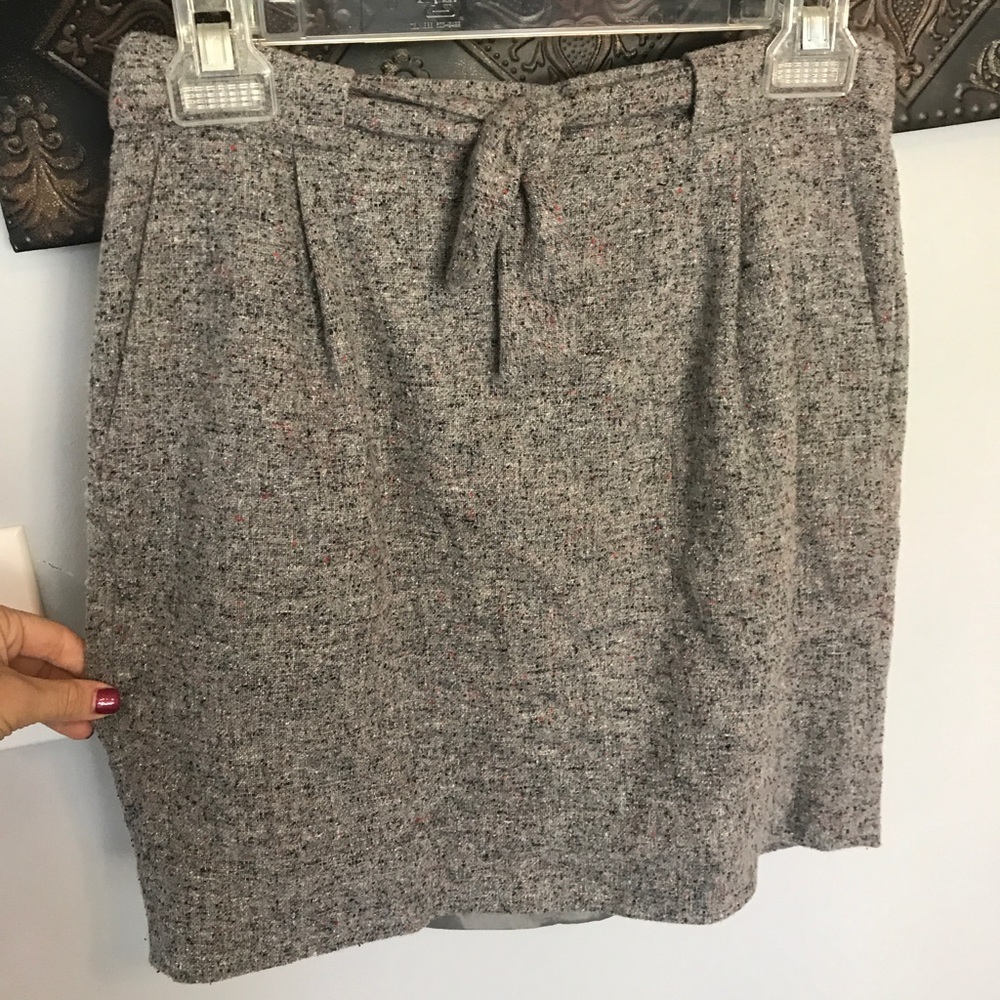 J Crew Skirt