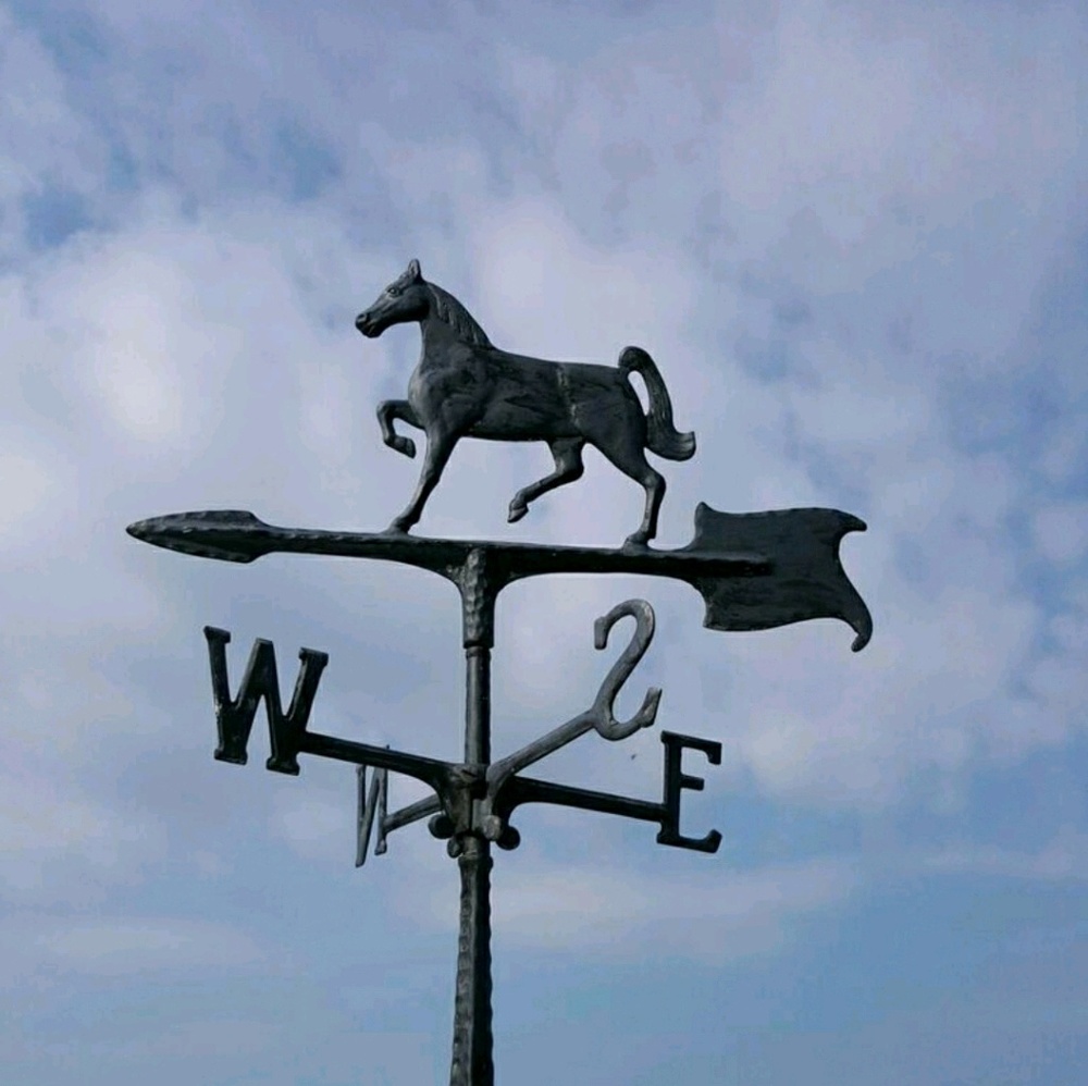 Meet your Posher, Susan