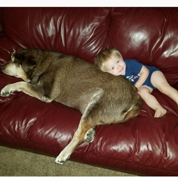 I have a pet friendly home! - Picture 3 of 8