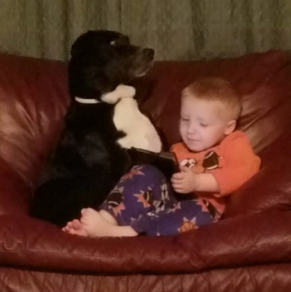 I have a pet friendly home! - Picture 4 of 8