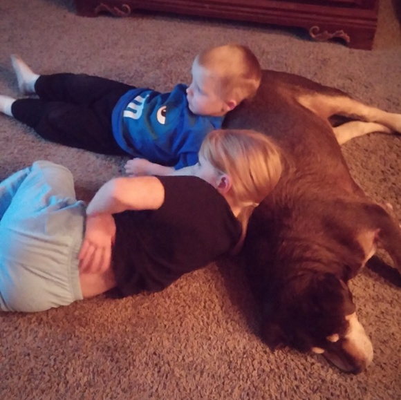 I have a pet friendly home! - Picture 8 of 8