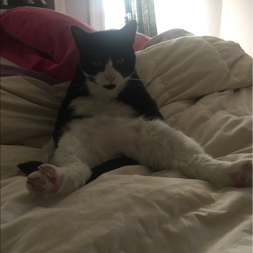 Meet your Posher, Kristen