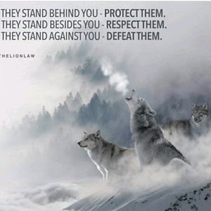 Meet your Posher, Isaac