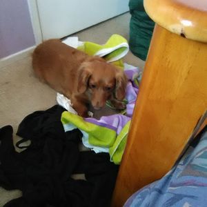 Meet your Posher, Jenni