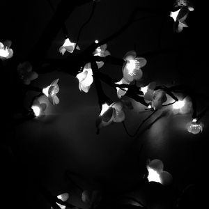 Meet your Posher, Brooklyn