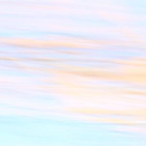 Meet your Posher, Bella