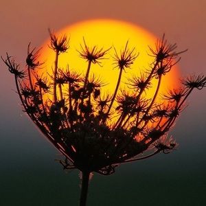 Meet your Posher, Leticia