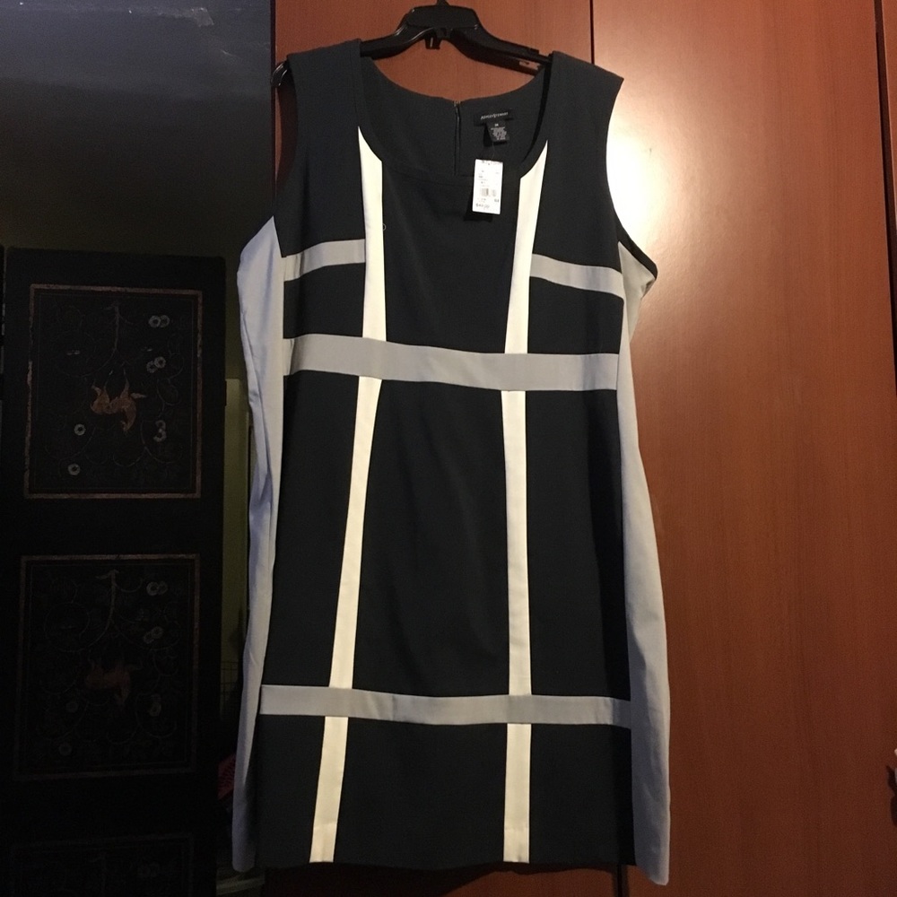 Ashley Stewart Navy Mod Dress