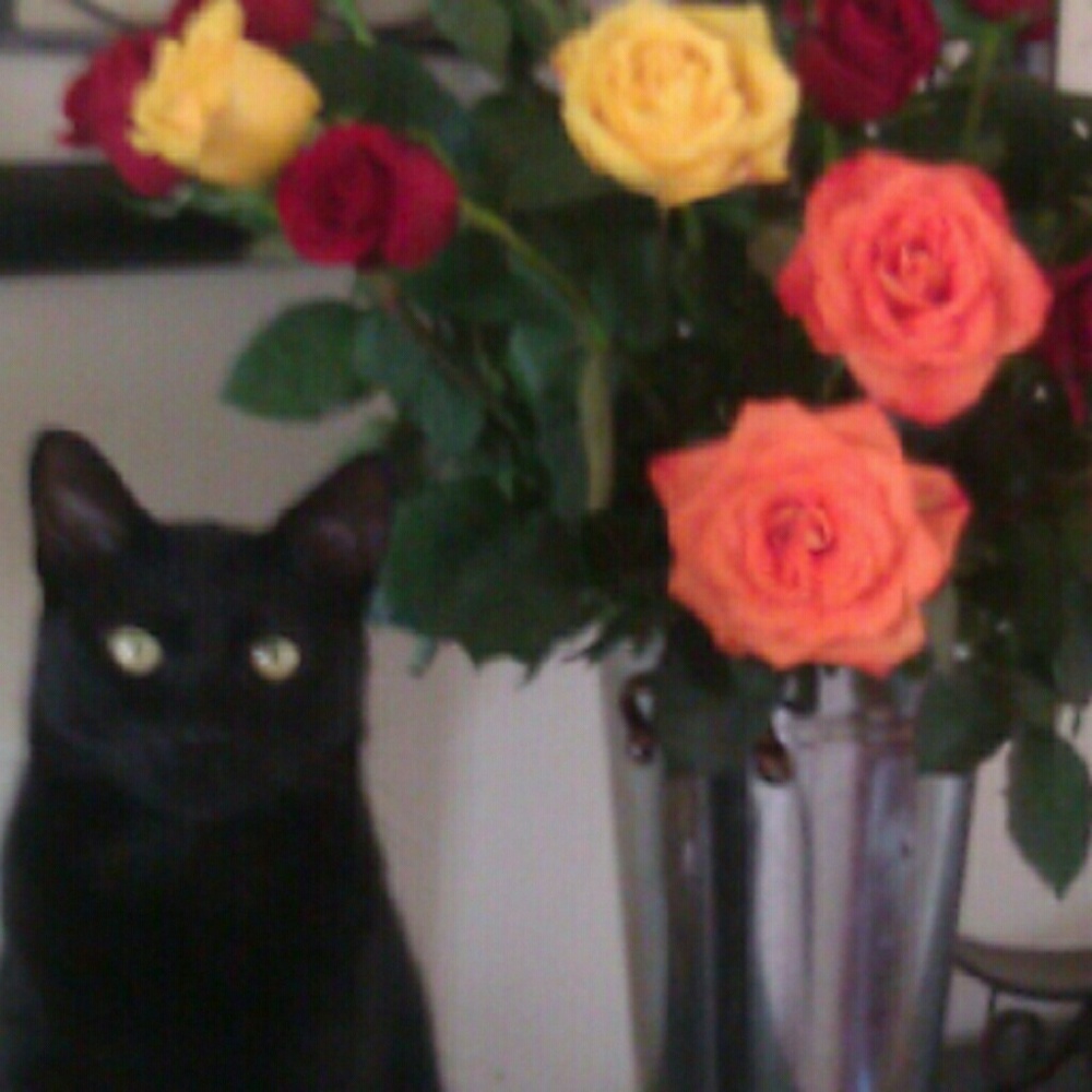 Thanks For Visiting!