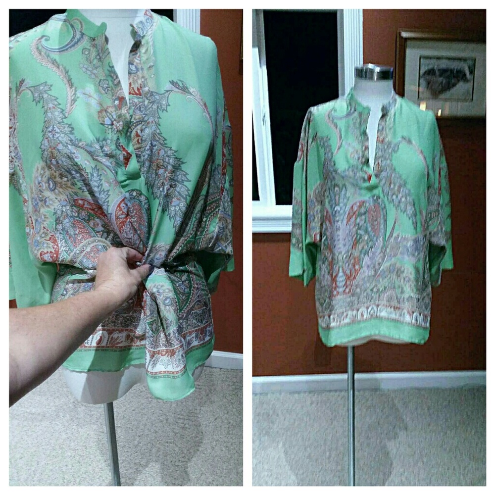 Zara Basic oriental style green blouse