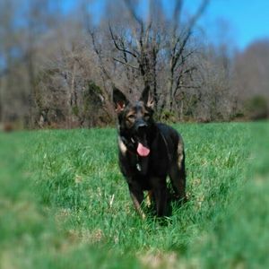 Meet your Posher, Anne