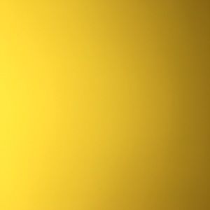 Meet your Posher, Gerald