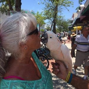 Meet your Posher, Susan