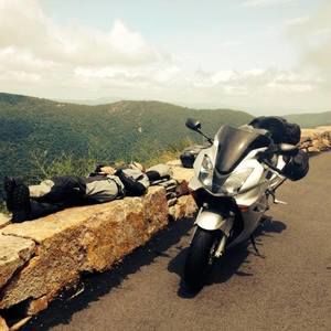 Meet your Posher, Darlene