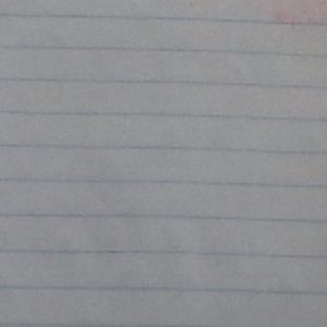 Meet your Posher, Audrey