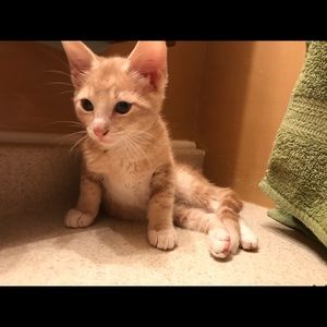 Meet your Posher, Stacey