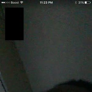 Meet your Posher, Taeisha