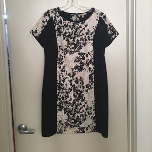 Banana Republic Professional Career Dress Size 6