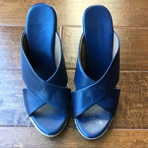 Banana Republic Blue Wedge heels Banana Republic Blue Wedge heels