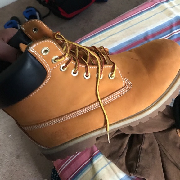 Wheat timberlands