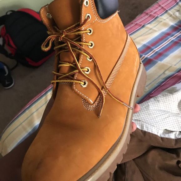 Wheat timberlands