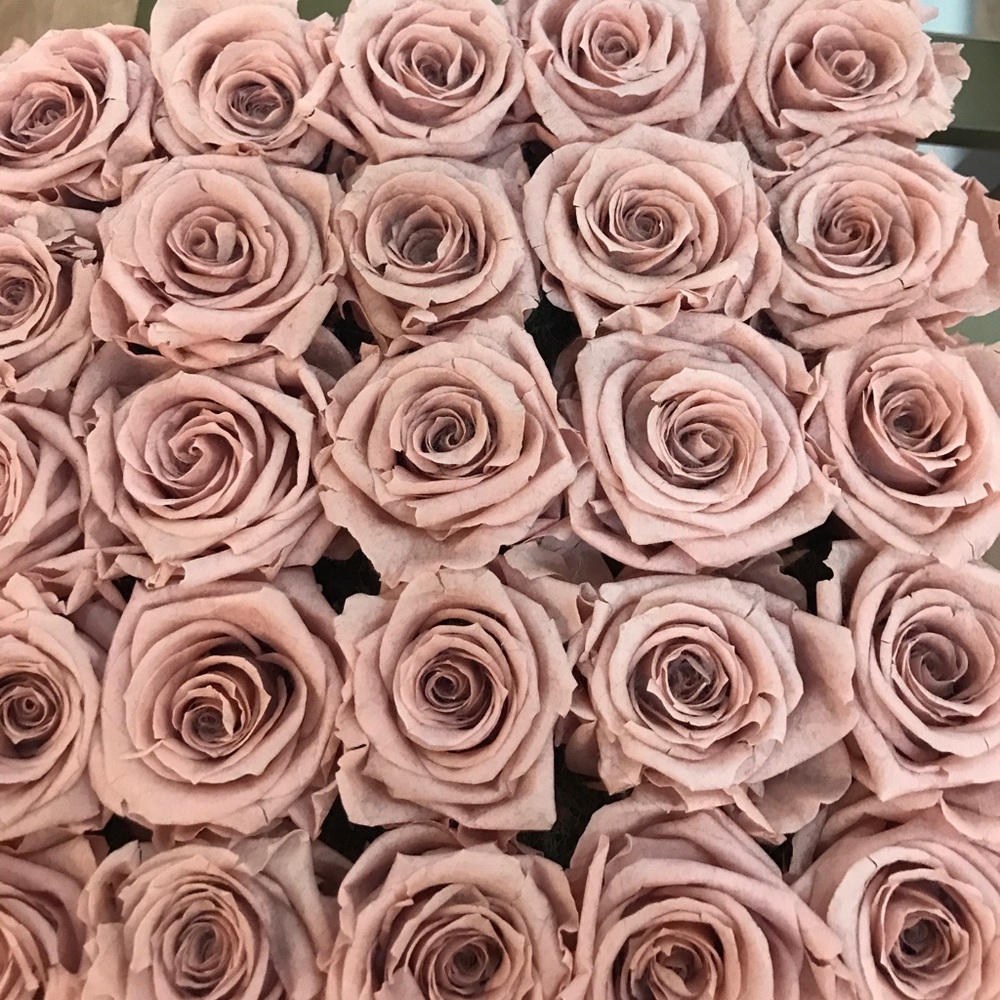 Meet your Posher, Samantha