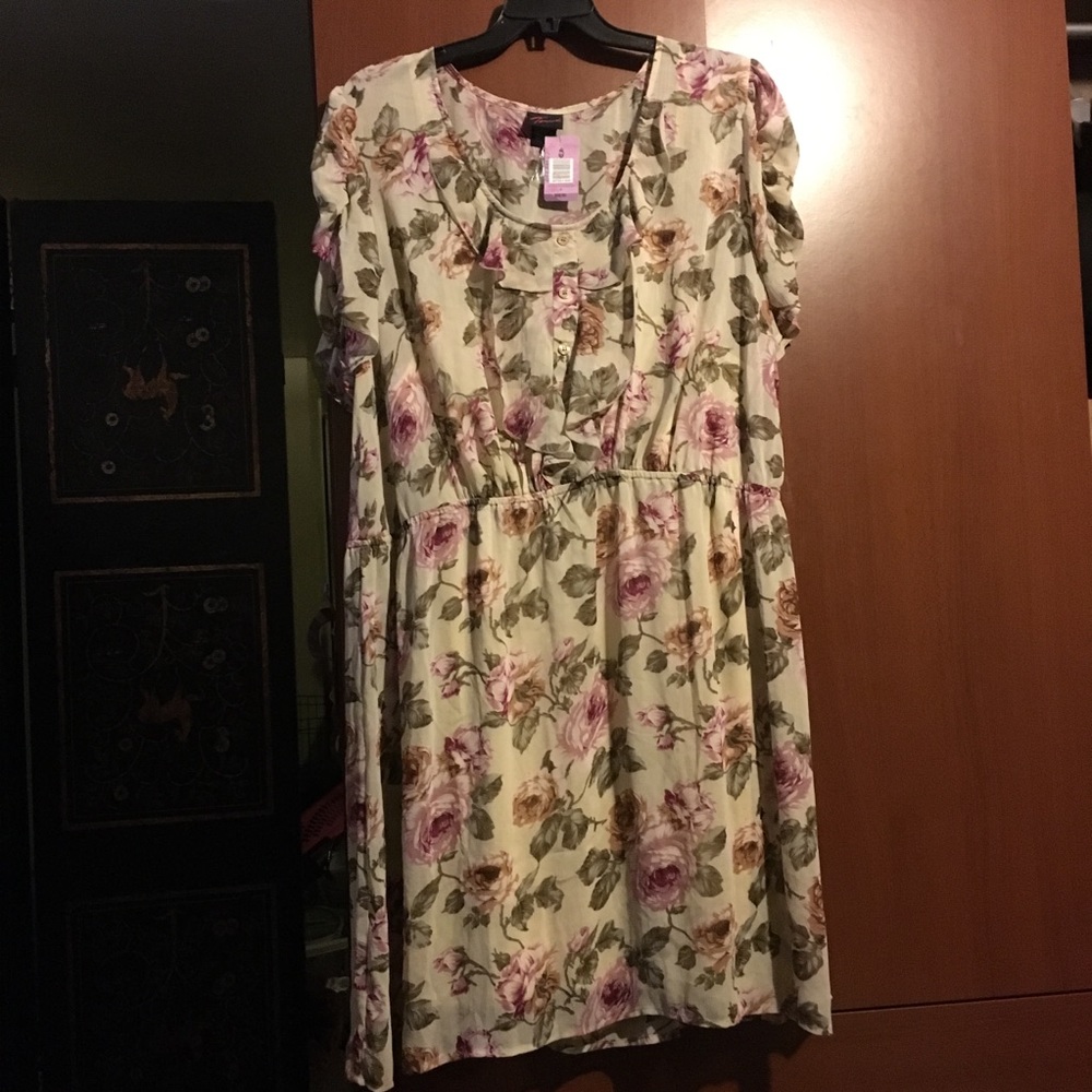 Cream and Rose Torrid Dress 🌸