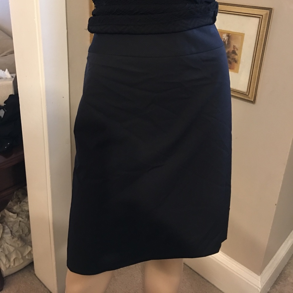 Tahari skirt