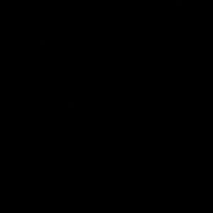 Meet your Posher, Daryl