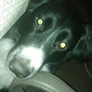 Meet your Posher, Macy