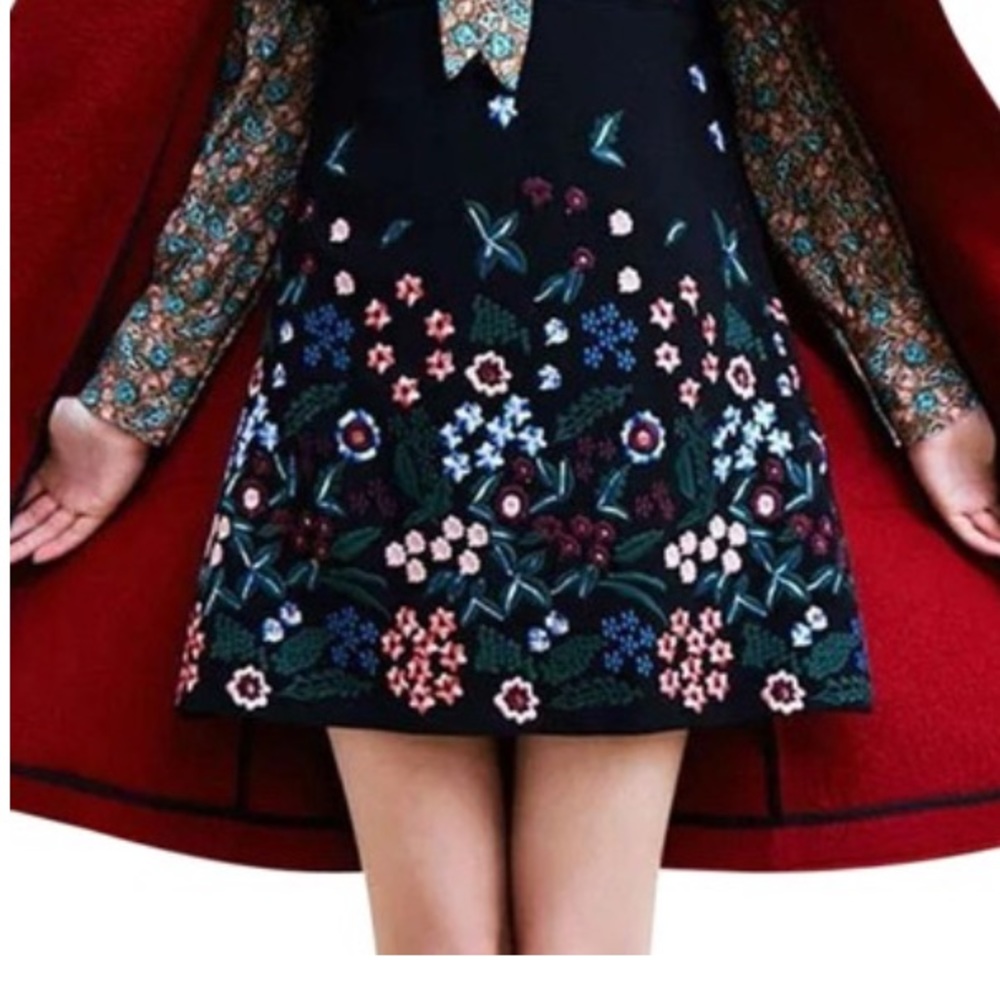 NWT ZARA EMBROIDERED A LINE SKIRT 🔥🔥🌷🌸BLOGGERS