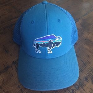 Patagonia Fitz Roy Bison Hat