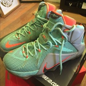 Lebron 12s